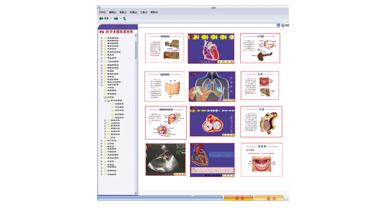 醫(yī)學(xué)多媒體素材庫   QZ-YK      